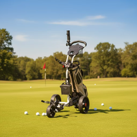 Carrito de Golf de alto rendimiento, carrito eléctrico de Golf con Control remoto de litio