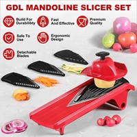 Trancheuse manuelle en acier inoxydable pour légumes et chips de pommes de terre Mandoline en plastique pour la cuisine domestique