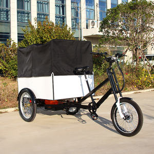 <span class=keywords><strong>Ester</strong></span>-Triciclos Motorizados de Carga, Triciclos Motorizados con Pedales Eléctricos, para Transporte de Mercancías Pesadas, Nuevo - Product Image 1