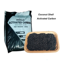 Charbon actif de coque de noix de coco pour la récupération de l'or