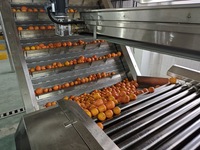 3 ~ 25 Ton Per Uur Industriële Vruchtensap Productielijn Sinaasappel Citroensap Maken Machine