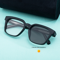 Lunettes de soleil photochromiques Partagas Wholesale Retro avec logo personnalisé, branches carrées à clipser, protection UV400 pour femmes et hommes