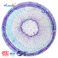 Prepared Slides Mixing Set Biology Slides 50 Kinds of Biological Section Set of Plant and Animal Quality Microscope Slides