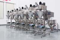 Machine de remplissage de poudre épicée 100g, remplisseur à vis pour poudre de farine de boulangerie 1kg, distributeur de poudre à lessiver 5kg