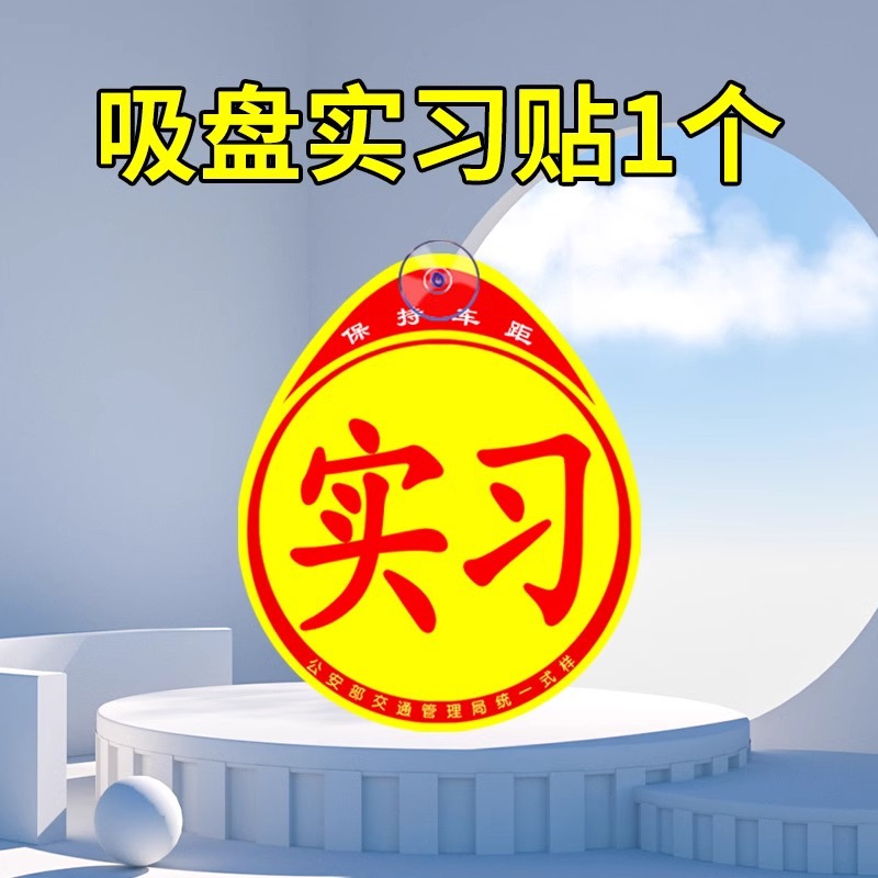 Suction Cup Practice Sticker *1