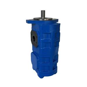 Hansen CBGJ High-Performance Hydraulic <b>Pumps</b> with 1 Year Warranty for Construction Machinery Loader Use Shandong - Product Image 1