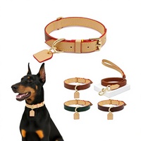 Ensemble collier et laisse pour animaux de compagnie en cuir personnalisable en gros avec étiquette gravée pour chiens et chats, pour les promenades en extérieur