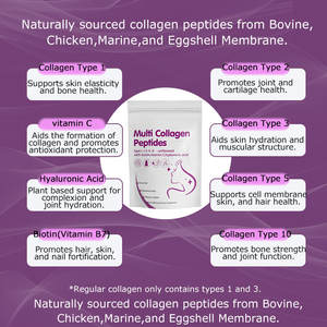 Poudre de collagène hydrolysé OEM pour cheveux, peau, ongles, collagène provenant de bovins nourris à l'herbe pour femmes et hommes - Product Image 6