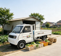 Remise en gros sur camionnette agricole électrique 4x4 avec frein à disque sur les 4 roues en option, moteur à couple élevé, charge lourde