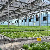 Glazen landbouwkas, intelligente groeitent voor groenten, kasbouw en -constructie, klimaatregeling, kas