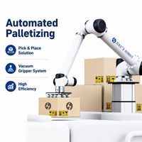 Huayan S20 S30 S40 Cobot Palletizing Robot Workstation 6 Axis Collaborative Robot untuk Pengambilan dan Penempatan Kotak Karton dengan Gripper