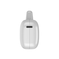 Nouvelle arrivée 2025 produit SC-47 15W queue plug Power Bank avec câble type-c in & out Mini chargeur 4800mAh batterie portable