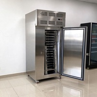 Congélateur rapide autonome -45°C 600L 15 plateaux 1 chariot pour l'industrie de la pêche, la transformation alimentaire et la viande