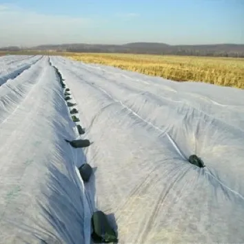 PP-tela no tejida para agricultura, tela anticongelante, protección contra el viento, para el invierno