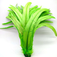 Plumes de coq naturelles et teintes en gros, 30-35 cm, en vrac, blanchies, pour décoration de carnaval, Plumas De Gallos
