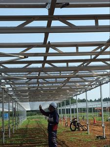 Estructura de Acero Galvanizado para Granjas Solares de 50kw, Suministro del Fabricante Líder, AS-AL-RC, Soporte de Montaje Solar Fotovoltaico Agrícola - Product Image 5