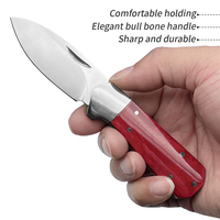Couteau de poche artisanal en acier inoxydable Aus-8, lame pointue, qualité industrielle, prix compétitif, best-seller, pour l'extérieur