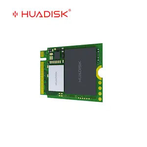Huadisk M2 Nvme Pcie Gen 3.0 2230 Ssd 1Tb 512Gb Interne Flash Disk 3d Nand Flash Plastic Opslag Voor Desktop En Stoomdek