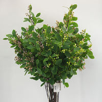 Baies Sauvages Artificielles en PVC de Haute Qualité avec Feuilles, 78 cm, Écologiques, Légères, pour Décoration Intérieure et Accessoires Photo (Vente en Gros)