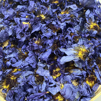 Fleurs de lotus bleues séchées naturelles de qualité supérieure, fleurs entières, export en vrac