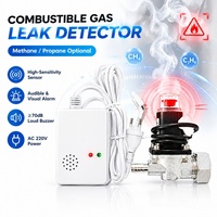 Détecteur de fuite de gaz propane GPL résidentiel avec capteur semi-conducteur et avertissement sonore et visuel à 10 % LEL