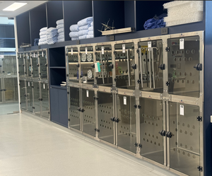 Aeolus Leverancier Hete Verkoop Roestvrijstalen Hond Kat Kooi Voor Veterinaire Modulaire Banken Dier Shorline Metselaar Stapelbare Dierenarts - Product Image 2