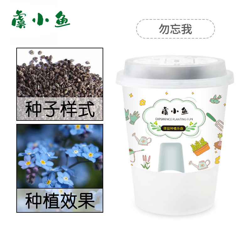 Kit de plantation Myosotis