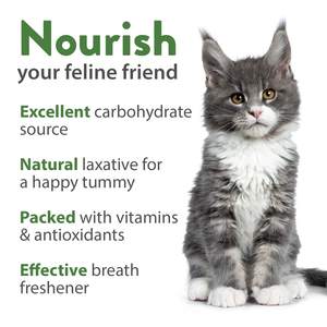 OEM Sachets d'<span class=keywords><strong>engrais</strong></span> biodégradables en vrac de 16 oz, mélange d'herbe à chat, d'avoine et d'orge pour une utilisation en intérieur, en extérieur, à la maison, dans le jardin, dans des pots de fleurs et des jardinières - Product Image 2