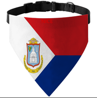 Bandana personnalisée pour animaux de compagnie avec collier, motif drapeau des îles Turcs et Caïcos, foulard triangulaire lavable pour la décoration des animaux et costume d'anniversaire pour animaux