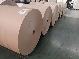 Papel de Pergamino Reciclado con Recubrimiento de PE de Grado Alimenticio, Hoja de Papel Especial de Una o Dos Capas, Cartón Biodegradable para Vasos de Café - Product Image 3