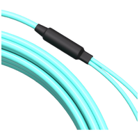 1m (3ft) Fiber Patch Cable2 Fibers ST UPC Duplex to ST UPC Duplex Multimode OM3 Riser OFNR2.0mm Tight-Buffered Aqua