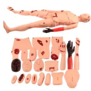 Enjeksiyon okulları tıp bilimleri için tıbbi eğitim için H111 tam fonksiyonlu insan simülasyonu travma hemşirelik anatomik modeli - Product Image 1