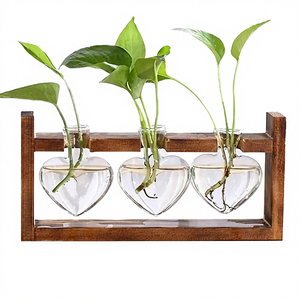 Estación de Propagación de Plantas con Soporte de Madera, Floreros de Vidrio, Terrario para Plantas de Interior, Decoración de Escritorio, Regalo de Jardinería - Product Image 4