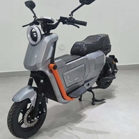 Moto électrique intelligente 60V 1000W avec moteur de moyeu arrière sans balais, roues de 10 pouces, option batterie lithium/plomb-acide