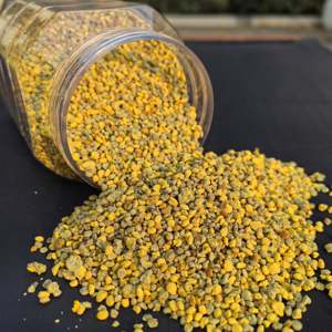 Polen de Abeja Orgánico Mixto de Alta Calidad, 100% Natural, Grado Alimenticio, en Bolsa de 25 kg, al Mejor Precio - Product Image 1