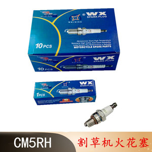 Bujía de borde plano GX35139F140 para cortacésped vibratorio de montaje trasero CMR5H, piezas y accesorios para cortacésped de cuatro tiempos - Product Image 2