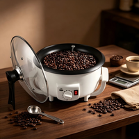Torréfacteur de café domestique automatique, petite machine électrique de torréfaction de grains de café pour la cuisine