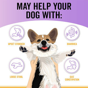 Oem Merk Label Zacht Kauwt Huisdiervoer Probiotica Voor Honden Spijsvertering Darm Gezondheidszorg Supplement - Product Image 5