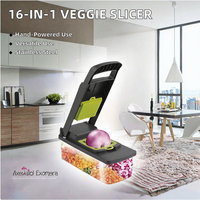 Handmatige uien- en groentesnijder met eigen logo, 16-in-1 multifunctionele fruit- en groentesnijder van PP-plastic
