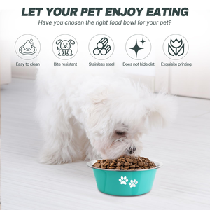 Venta al por Mayor de Nuevos Productos, Platos para Perros con Impresión a Color, Platos de Acero Inoxidable para Agua y Comida para Mascotas - Product Image 5