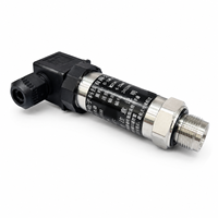 Transmisor de Presión Absoluta de Silicio Monocristalino de Acero Inoxidable Directo de Fábrica, IP67, RS485, Conexión Roscada, Alta Precisión