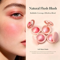 Cosmétiques en gros, logo personnalisé, marque privée, maquillage vegan pour le visage, sans cruauté, pigment longue tenue, blush crémeux chatoyant