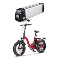 シルバーフィッシュ電動自転車リチウムイオンバッテリーパック24v36v 10ah 12ah 20ah Eバイク用充電式バッテリー