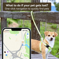 Étui en silicone RSH Smart Air Tag pour collier d'animaux, compatible MFi Find My, localisateur de clés pour Apple, suivi mondial pour chien, portefeuille, bagages