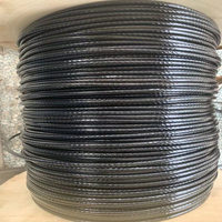 Câble de gym en nylon de 4 mm/5 mm/6 mm, assemblage de câble de gym pour équipement de fitness/câble de gym en nylon pour machine crossover