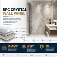 Panneau mural SPC sur mesure de 2,5 mm / 2,8 mm / 3,0 mm / 3,8 mm / 4,0 mm / 5,0 mm pour la décoration moderne de la maison