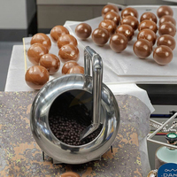 Machine de revêtement multifonctionnelle pour chocolat, amandes, noix, cacahuètes, sucre et bonbons, au meilleur prix et efficace