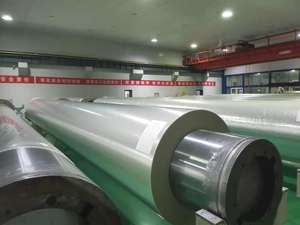 مصنع لونغشينغ يوفر فيلم بي أو بي إي تي/فيلم بي إي تي شفاف بسماكات 4.5/6/8/10/12 ميكرون بسعر جيد - Product Image 3