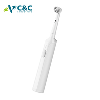 Brosse à dents électrique personnalisée, brosse à dents électrique de luxe, 3 modes, rechargeable, adulte, étanche