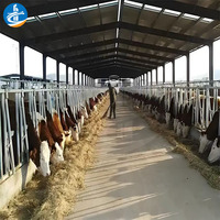 Atelier de conception moderne à structure en acier et hangar de ferme pour l'élevage de volailles, de chèvres et de moutons par le fournisseur